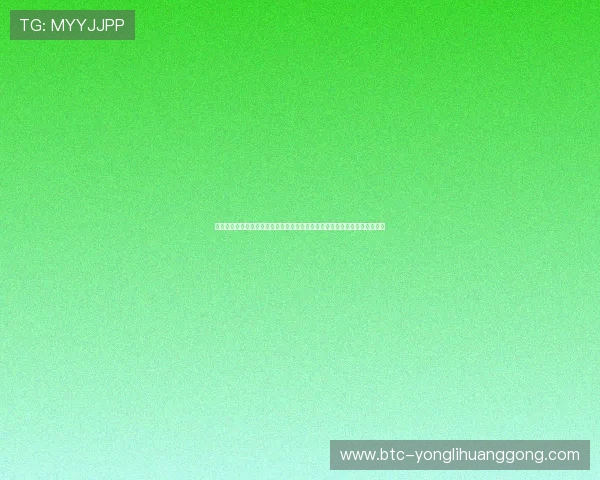 永利澳门网址大全官方入口导航，确保您安全登录并获取最新优惠与服务信息